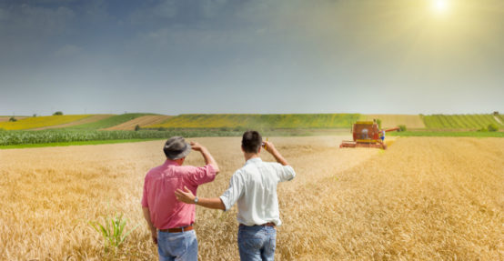 What makes a good agriculture bank