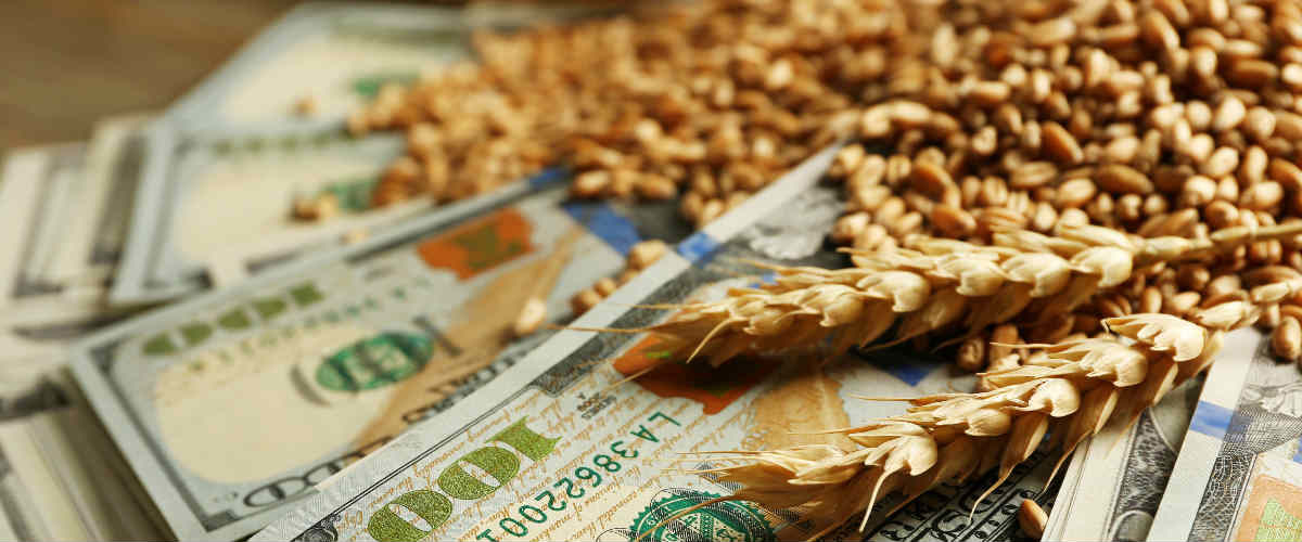 What should farmers do when markets rise