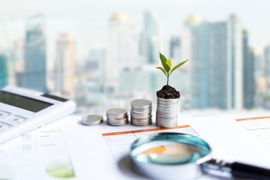 bigstock The Tree Growing On Money Coi 328691560 1