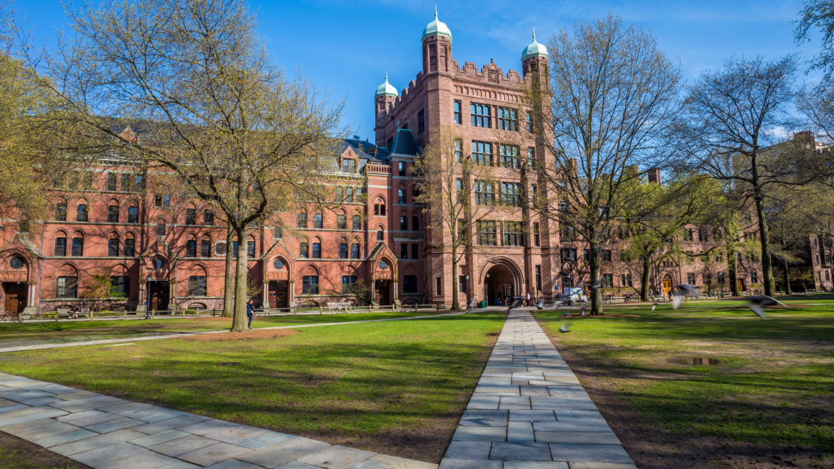 high education, buildings, campus
