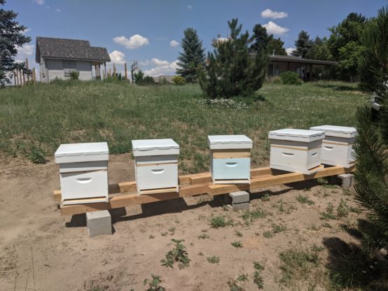 Free Range Beehives