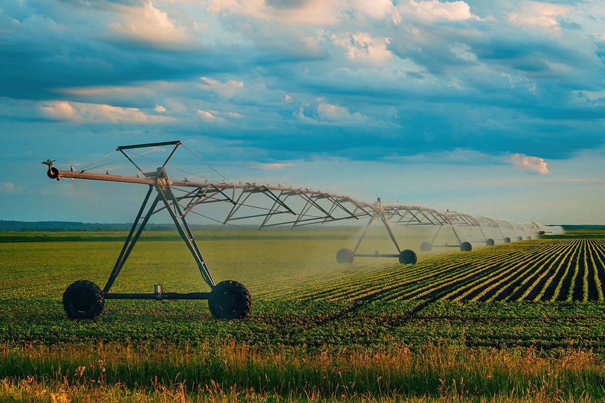 working capital in agribusiness